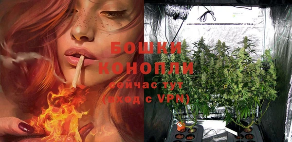 стафф Каменногорск