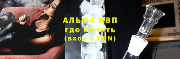 стафф Каменногорск