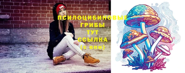 стафф Каменногорск
