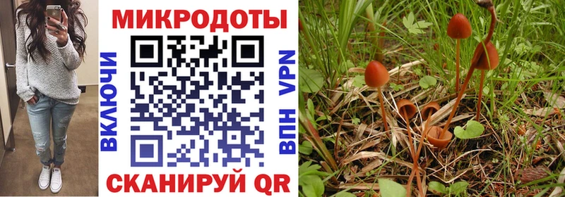Купить Карачаевск Псилоцибиновые грибы ЛСД